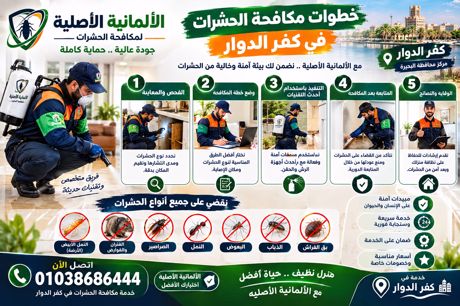 How Do We Work Steps of Pest Control